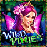 RTP pragmatic spinbet123